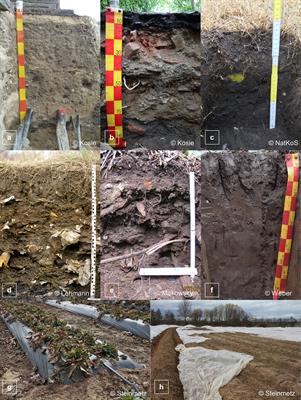 Plastics in soil description and surveys – practical considerations and field guide